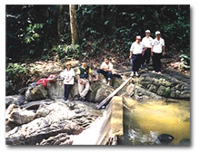 http://www.gurmin.net/images/photo2.jpg